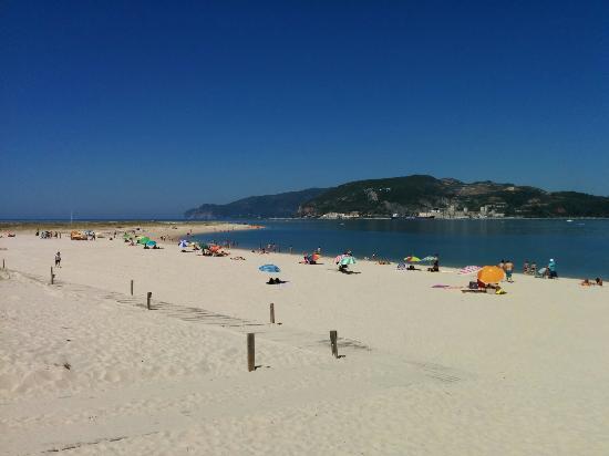 Plaża Troia